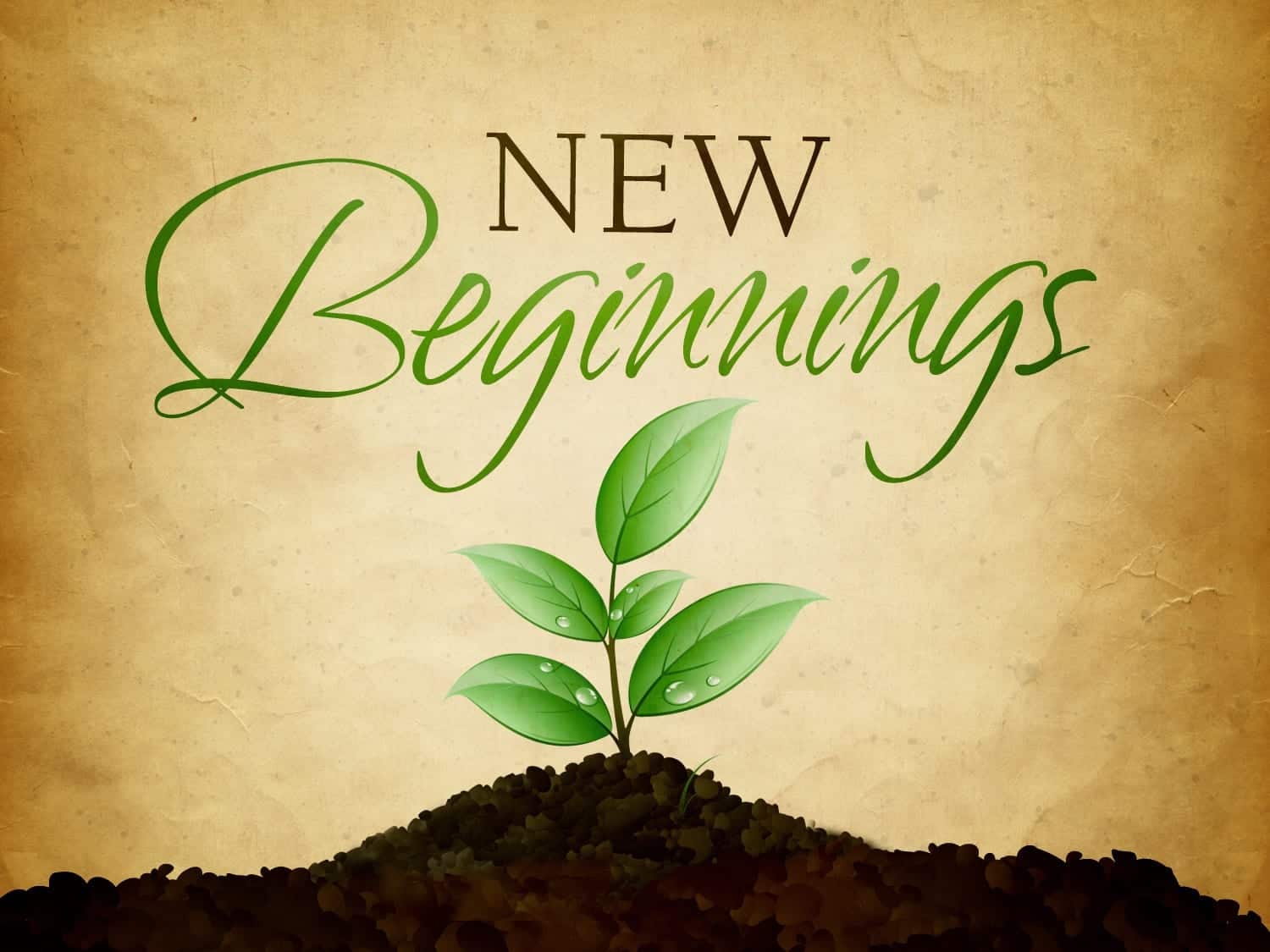 new beginnings quotes for work